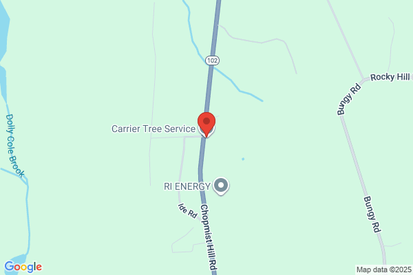 Carrier Tree Service Co