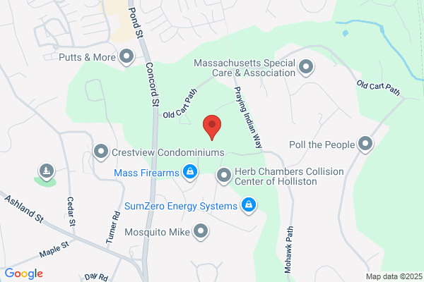 Village Green Landscape & Lawn Care Inc