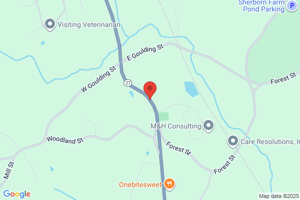 Sherborn Village