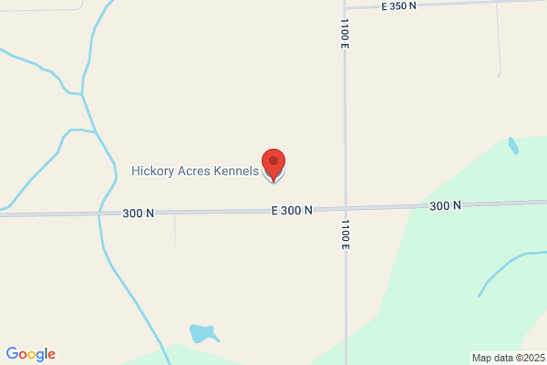 Hickory Acres Boarding Kennels