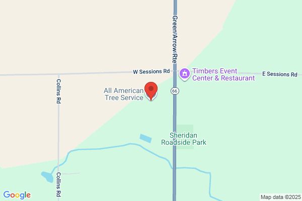 All American Tree Service
