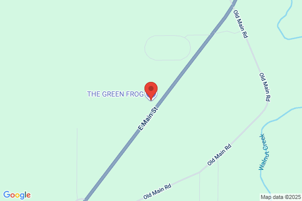 The Green Frog