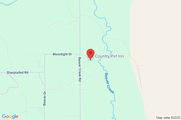 Country Pet Inn