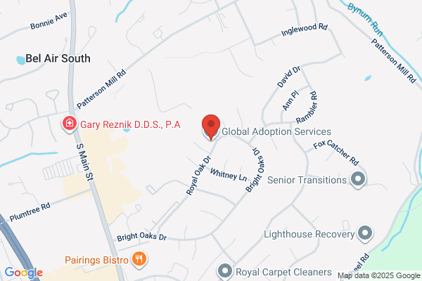 Global Adoption Services Inc