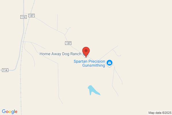 Walk The Dog, LLC