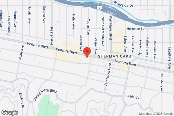 Z Exclusive Salon