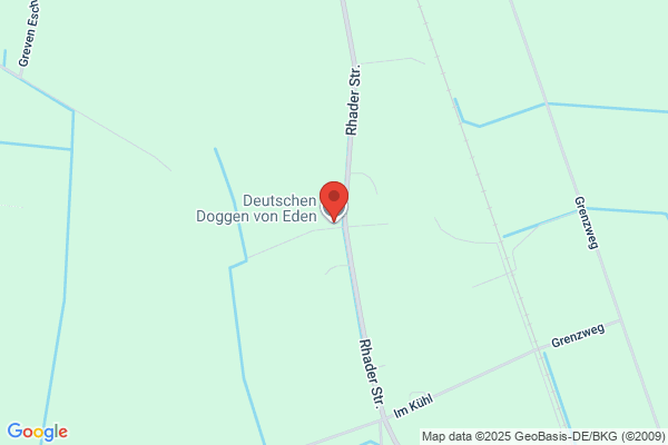 Dog-E-Den
