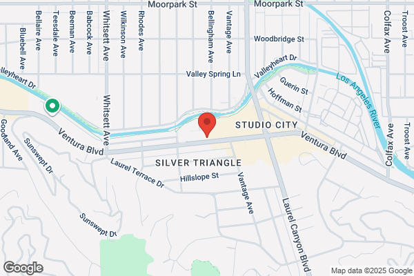 Chin Chin Studio City Restaurant