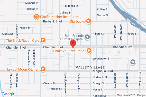Chandler Palms