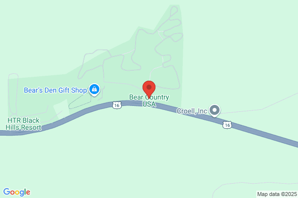 Bear Country