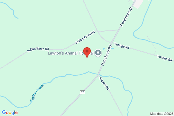 Sievers Equine Service