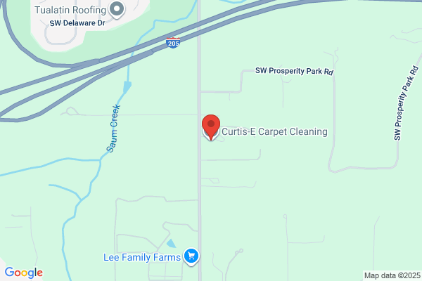 Curtis-E Carpet Cleaning