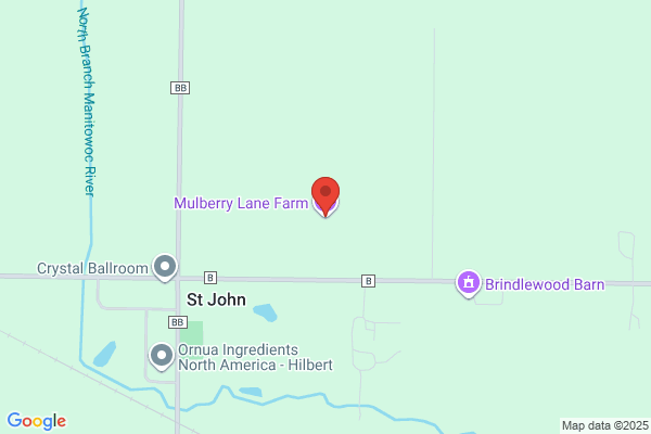 Mulberry Lane Farm