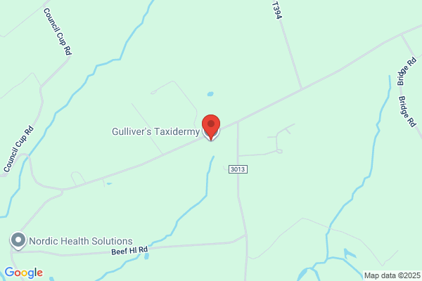 Gulliver's Taxidermy