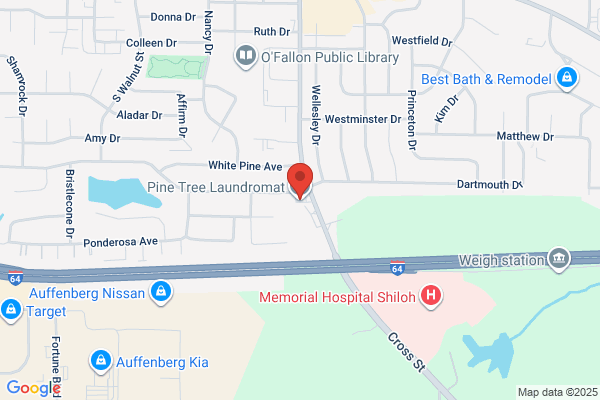 Pine Tree Laundromat