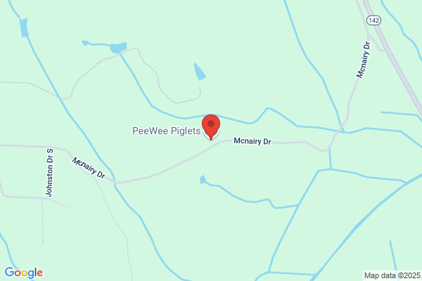 PeeWee Piglets