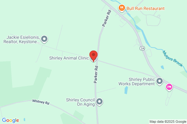 Shirley Animal Hospital