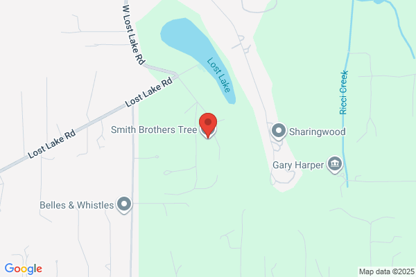 Smith Brothers Pruning Service