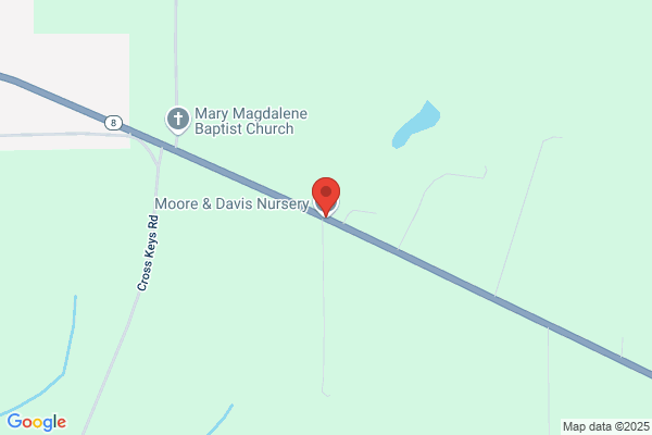 Moore & Davis Nursery Llc