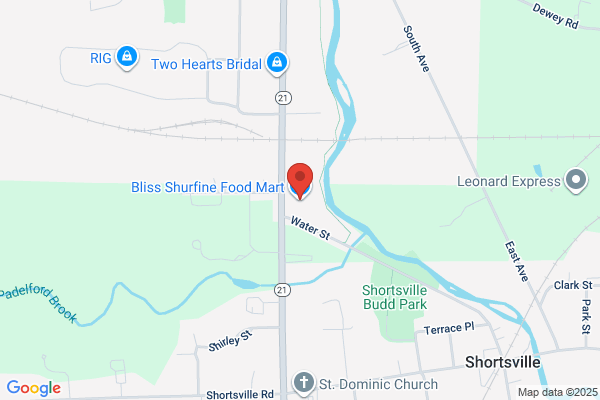 Bliss Shurfine Food Mart