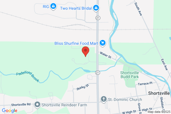 Manchester Shortsville Joint Sewage Commission