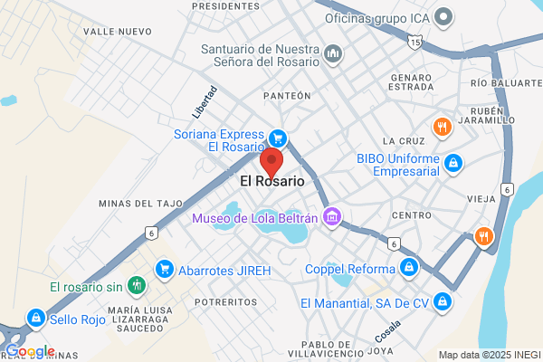 Rosario Riel-Romero, MD