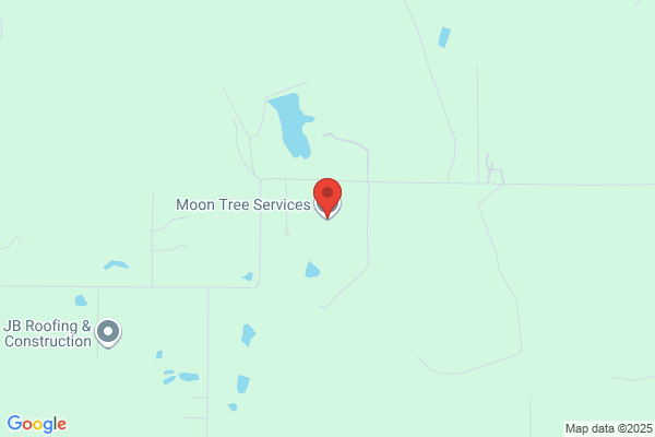 Moon Tree Service