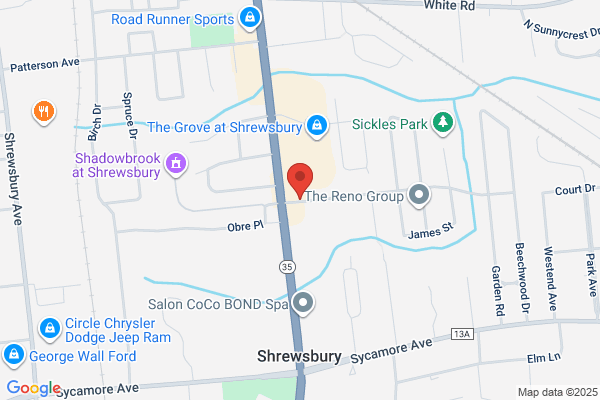 Lear Siegler Services
