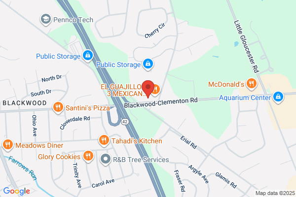 Mechanics Auto Parts Inc