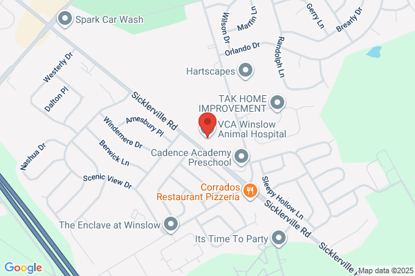 VCA Winslow Animal Hospital