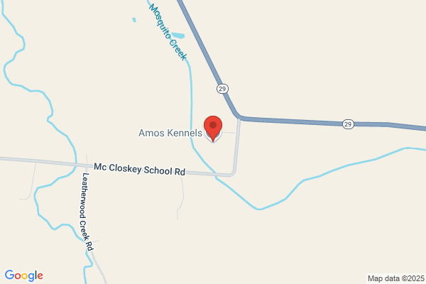 Amos Kennels