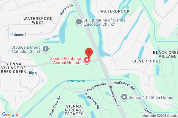Sienna Dental