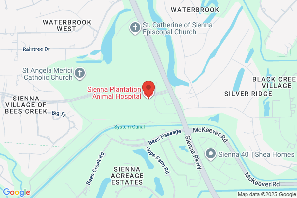 Sienna Plantation Animal Hospital