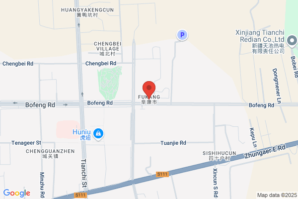 Fukang International