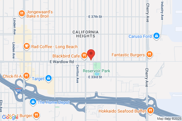 Anderson Merle DDS