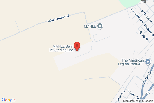 Mt Sterling Inc