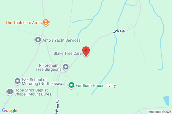 Blake's Tree Service