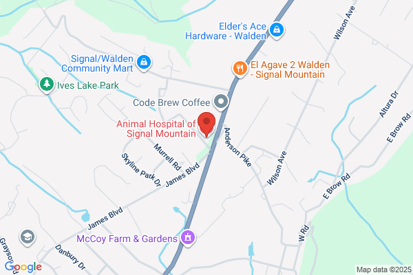 Animal Hospital of Signal Mountain
