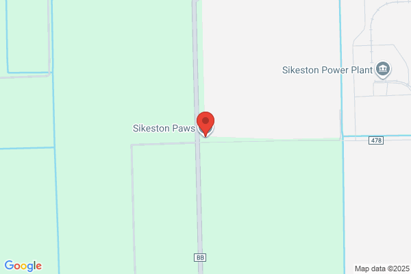 Sikeston Area Humane Society