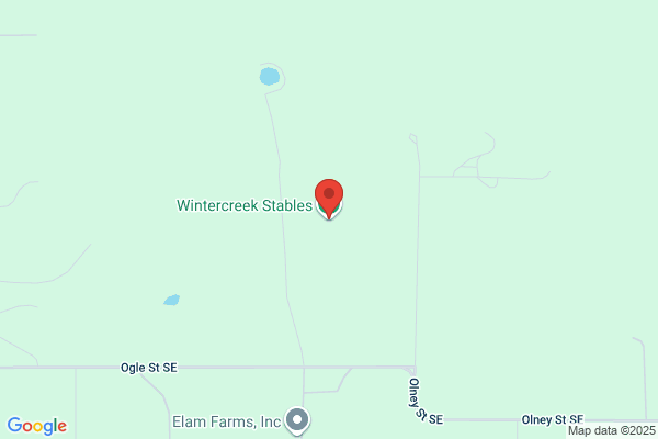 Winter Creek Stables