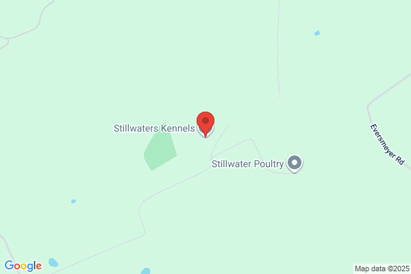 Stillwaters Kennels