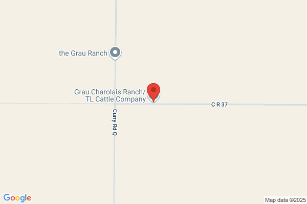 Gorum Charolais Ranch