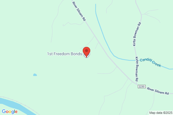 1st Freedom Bonds