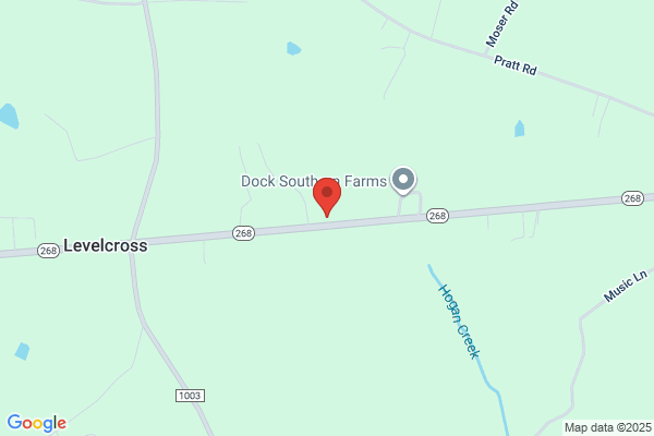 Southern Used Cars