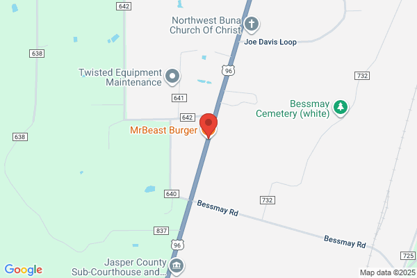 MrBeast Burger