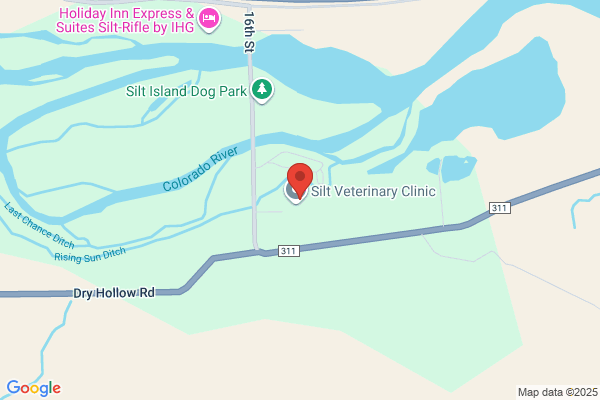 Divide Creek Animal Hospital