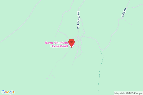 Burro Mountain Homestead
