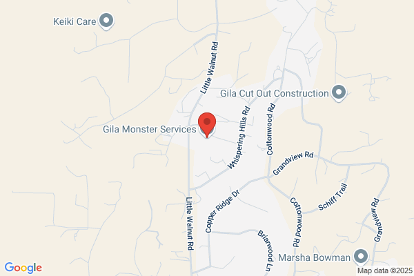 Gila Monster Services