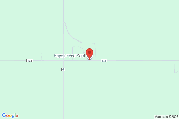 Hayes Feed Lot