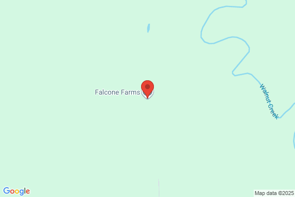 Falcone Farms Inc
